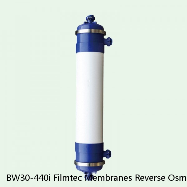 BW30-440i Filmtec Membranes Reverse Osmosis Element