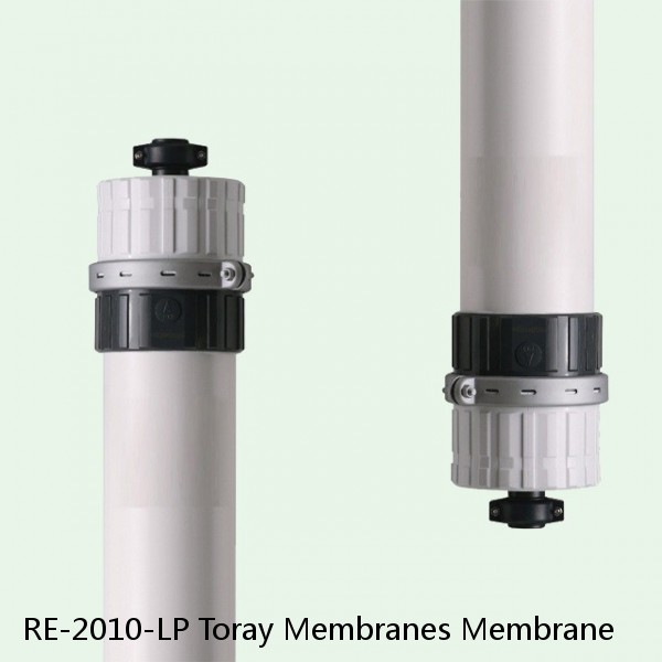 RE-2010-LP Toray Membranes Membrane