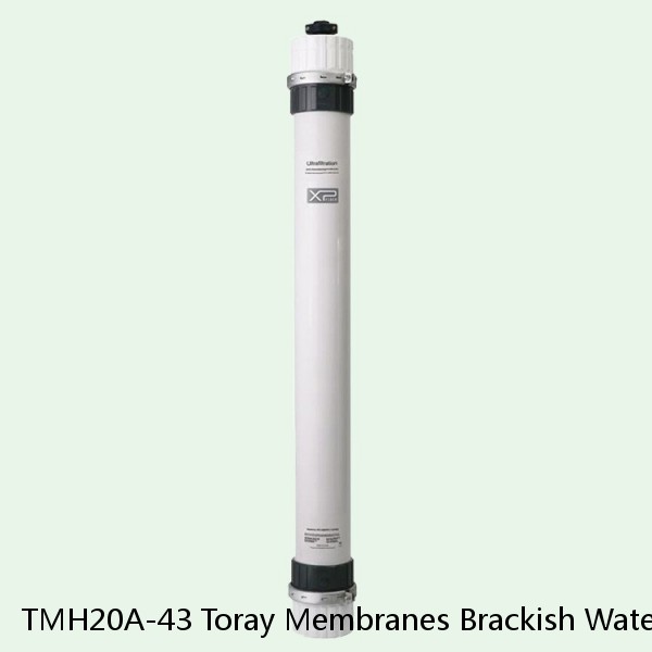 TMH20A-43 Toray Membranes Brackish Water Reverse Osmosis Element