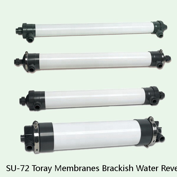 SU-72 Toray Membranes Brackish Water Reverse Osmosis Element