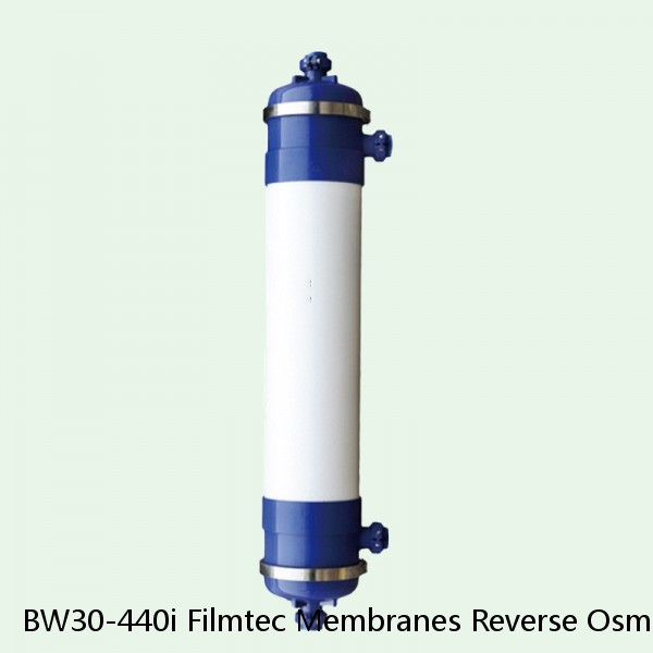 BW30-440i Filmtec Membranes Reverse Osmosis Element #1 small image