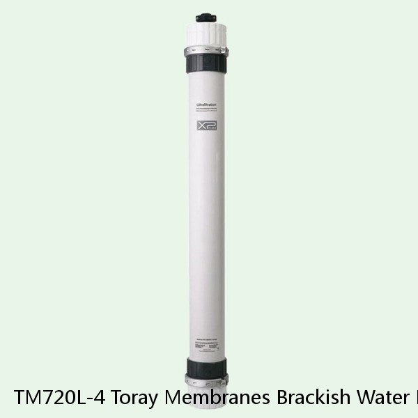 TM720L-4 Toray Membranes Brackish Water Reverse Osmosis Element #1 small image