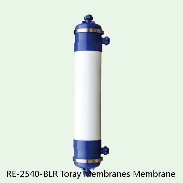 RE-2540-BLR Toray Membranes Membrane #1 small image