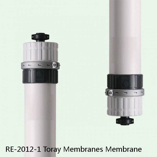 RE-2012-1 Toray Membranes Membrane #1 small image