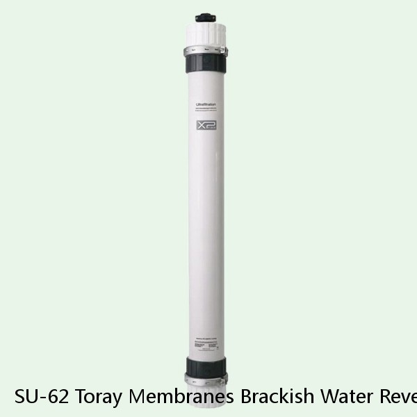 SU-62 Toray Membranes Brackish Water Reverse Osmosis Element #1 small image