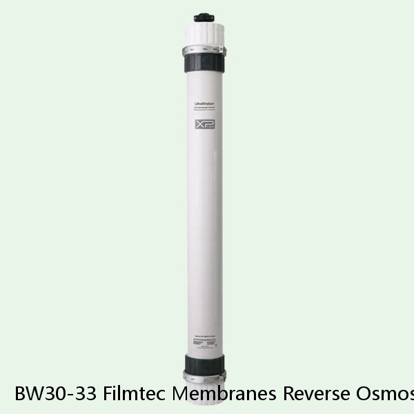 BW30-33 Filmtec Membranes Reverse Osmosis Element #1 small image