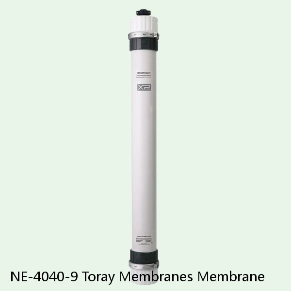 NE-4040-9 Toray Membranes Membrane #1 small image