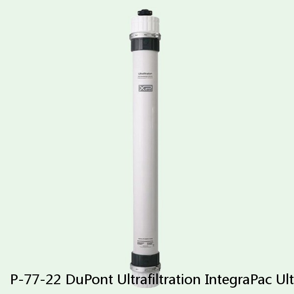 P-77-22 DuPont Ultrafiltration IntegraPac Ultrafiltration Skid #1 small image