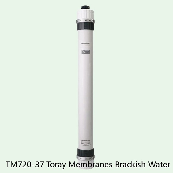 TM720-37 Toray Membranes Brackish Water Reverse Osmosis Element #1 small image