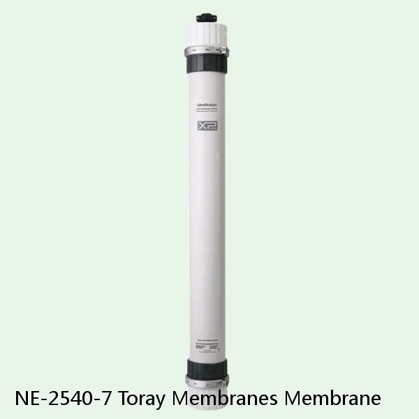 NE-2540-7 Toray Membranes Membrane #1 small image