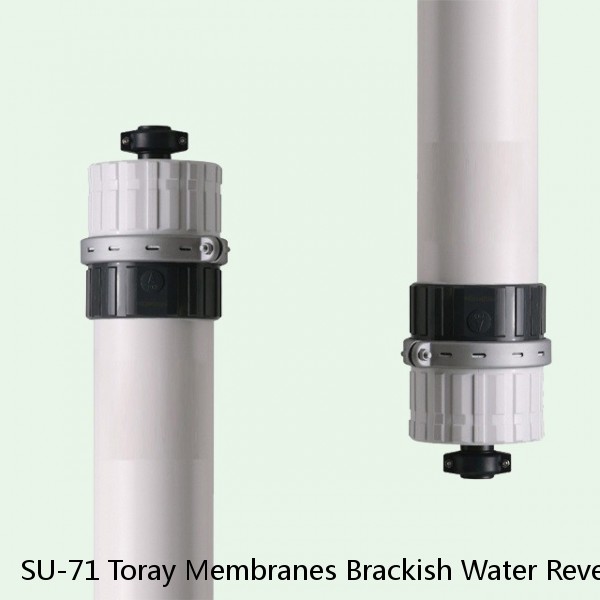 SU-71 Toray Membranes Brackish Water Reverse Osmosis Element #1 small image