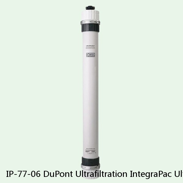 IP-77-06 DuPont Ultrafiltration IntegraPac Ultrafiltration Skid