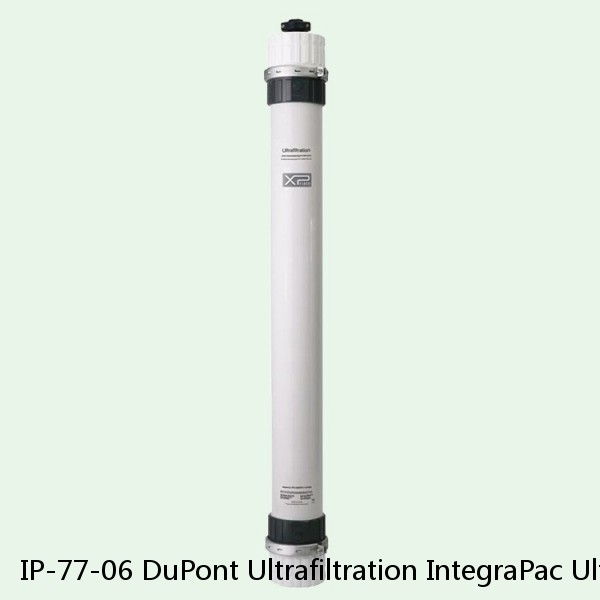 IP-77-06 DuPont Ultrafiltration IntegraPac Ultrafiltration Skid #1 small image