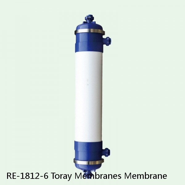 RE-1812-6 Toray Membranes Membrane #1 small image