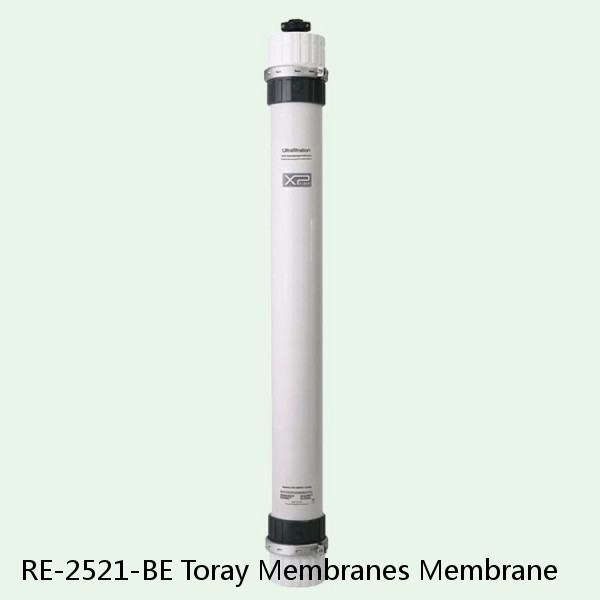 RE-2521-BE Toray Membranes Membrane #1 small image