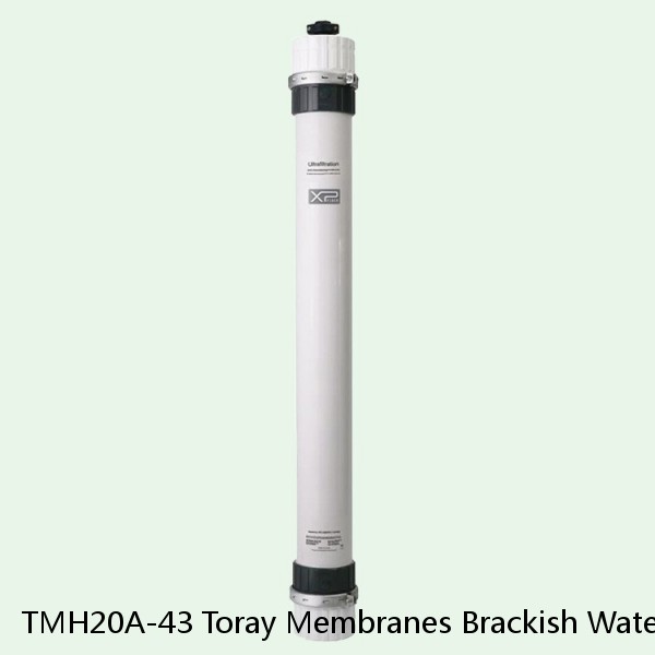 TMH20A-43 Toray Membranes Brackish Water Reverse Osmosis Element #1 small image