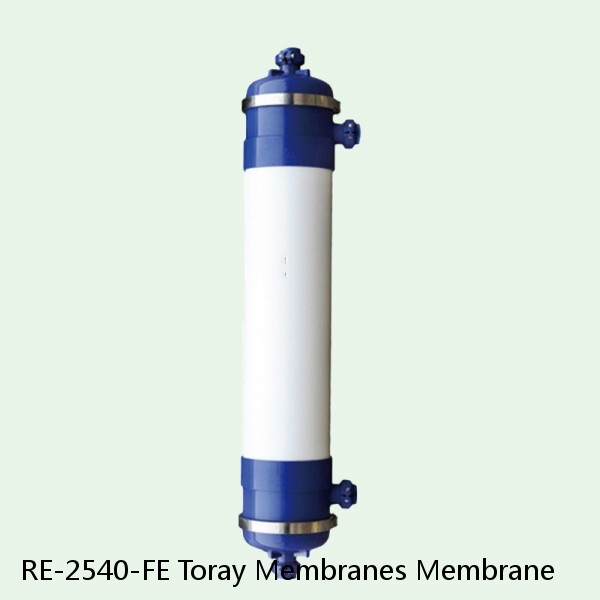 RE-2540-FE Toray Membranes Membrane #1 small image