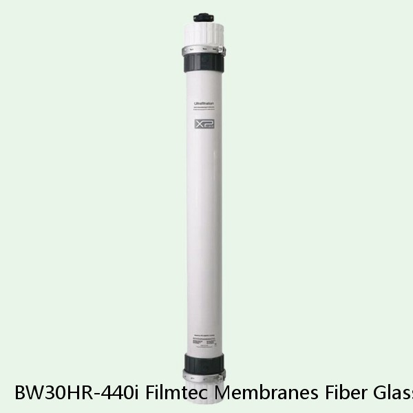 BW30HR-440i Filmtec Membranes Fiber Glassed Element #1 small image