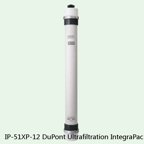 IP-51XP-12 DuPont Ultrafiltration IntegraPac Ultrafiltration Skid