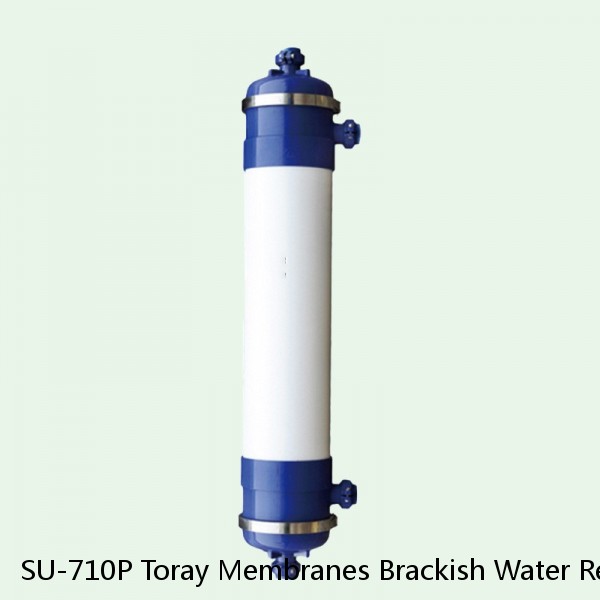 SU-710P Toray Membranes Brackish Water Reverse Osmosis Element #1 small image