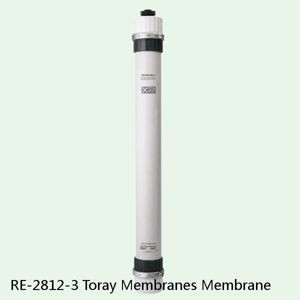 RE-2812-3 Toray Membranes Membrane #1 small image