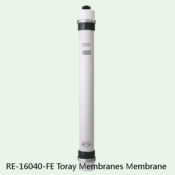 RE-16040-FE Toray Membranes Membrane #1 small image