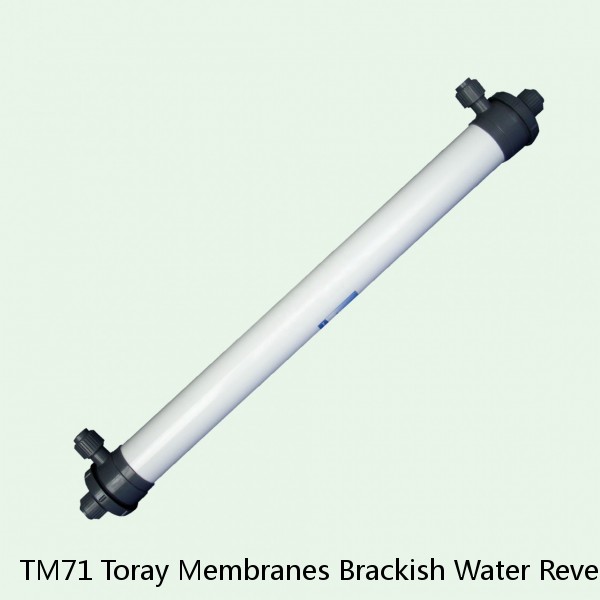 TM71 Toray Membranes Brackish Water Reverse Osmosis Element #1 small image