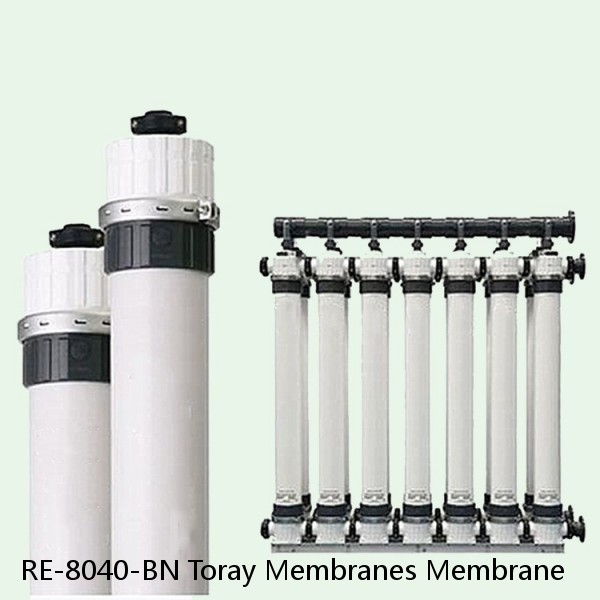 RE-8040-BN Toray Membranes Membrane #1 small image