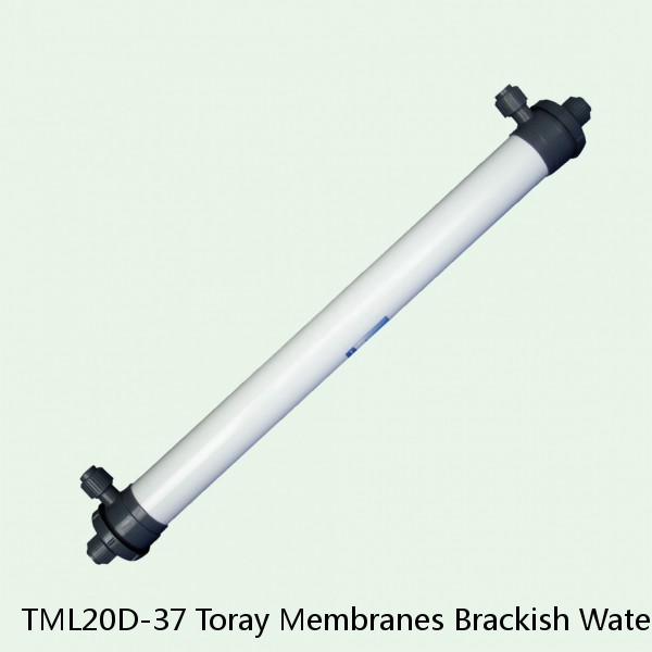 TML20D-37 Toray Membranes Brackish Water Reverse Osmosis Element #1 small image