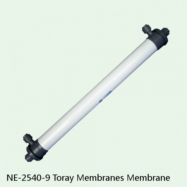 NE-2540-9 Toray Membranes Membrane #1 small image