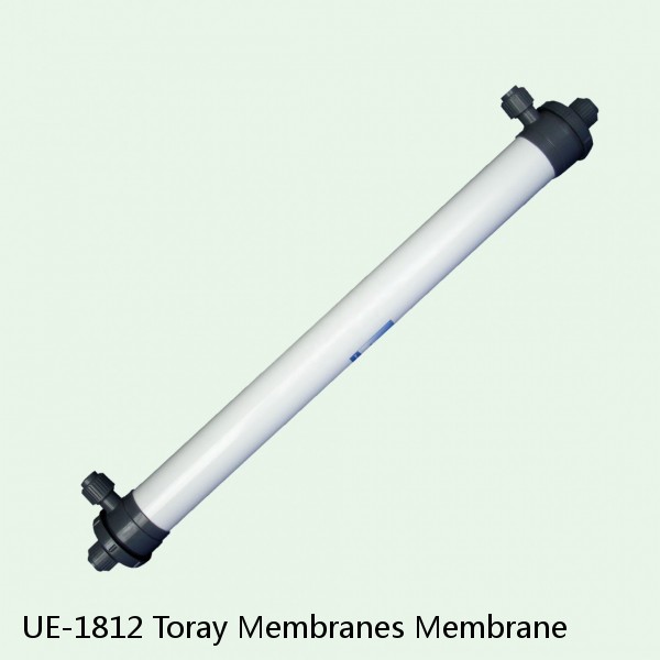 UE-1812 Toray Membranes Membrane #1 small image