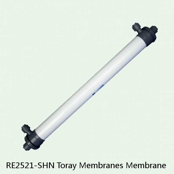 RE2521-SHN Toray Membranes Membrane #1 small image