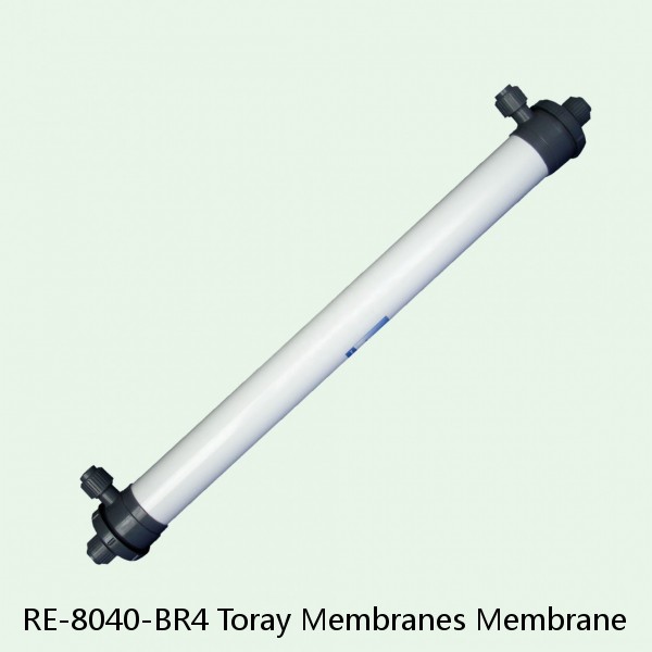 RE-8040-BR4 Toray Membranes Membrane #1 small image