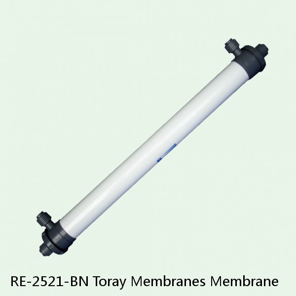 RE-2521-BN Toray Membranes Membrane #1 small image