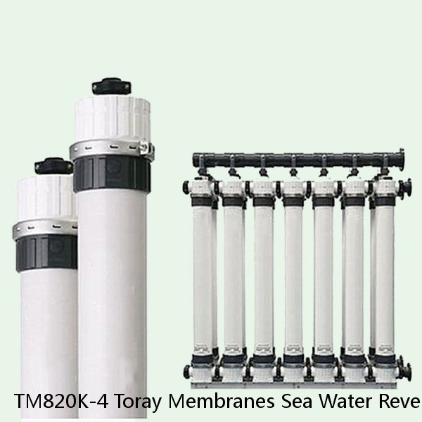 TM820K-4 Toray Membranes Sea Water Reverse Osmosis Element #1 small image