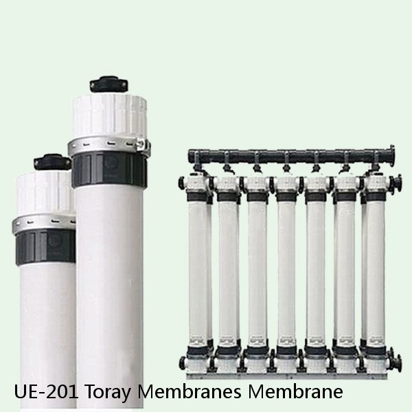 UE-201 Toray Membranes Membrane
