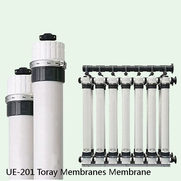 UE-201 Toray Membranes Membrane #1 small image