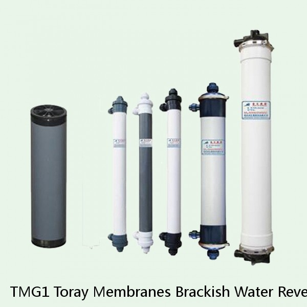 TMG1 Toray Membranes Brackish Water Reverse Osmosis Element #1 small image