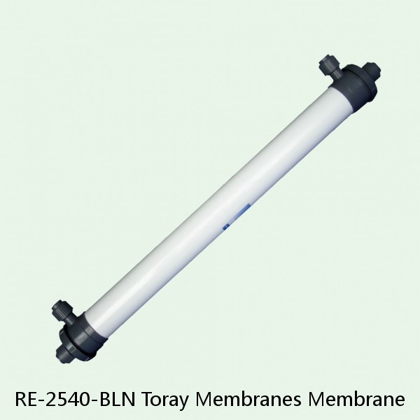 RE-2540-BLN Toray Membranes Membrane #1 small image