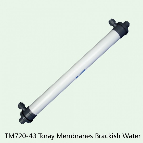 TM720-43 Toray Membranes Brackish Water Reverse Osmosis Element