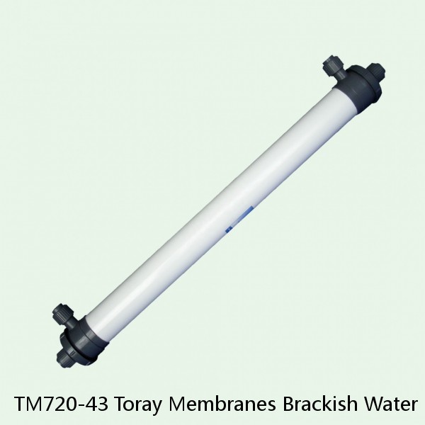 TM720-43 Toray Membranes Brackish Water Reverse Osmosis Element #1 small image