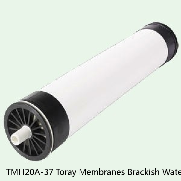 TMH20A-37 Toray Membranes Brackish Water Reverse Osmosis Element #1 small image