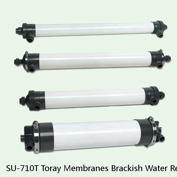 SU-710T Toray Membranes Brackish Water Reverse Osmosis Element #1 small image