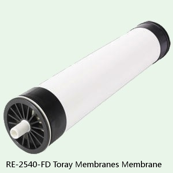 RE-2540-FD Toray Membranes Membrane #1 small image