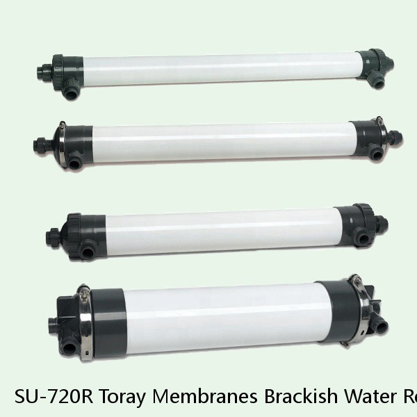 SU-720R Toray Membranes Brackish Water Reverse Osmosis Element #1 small image