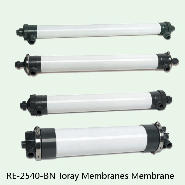 RE-2540-BN Toray Membranes Membrane #1 small image