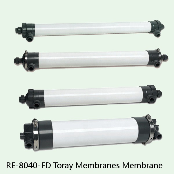 RE-8040-FD Toray Membranes Membrane #1 small image