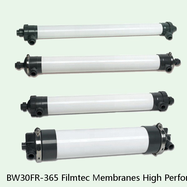 BW30FR-365 Filmtec Membranes High Performance pre-Treatment RO Element #1 small image