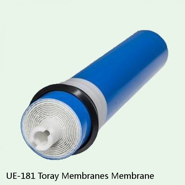 UE-181 Toray Membranes Membrane #1 small image