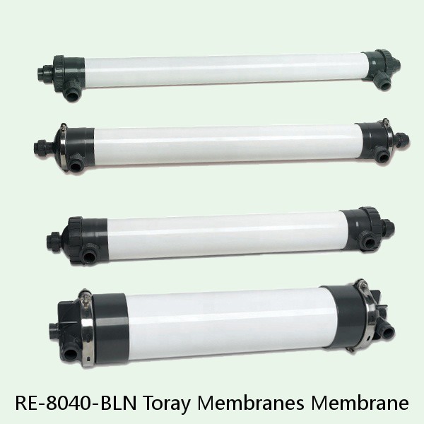 RE-8040-BLN Toray Membranes Membrane #1 small image